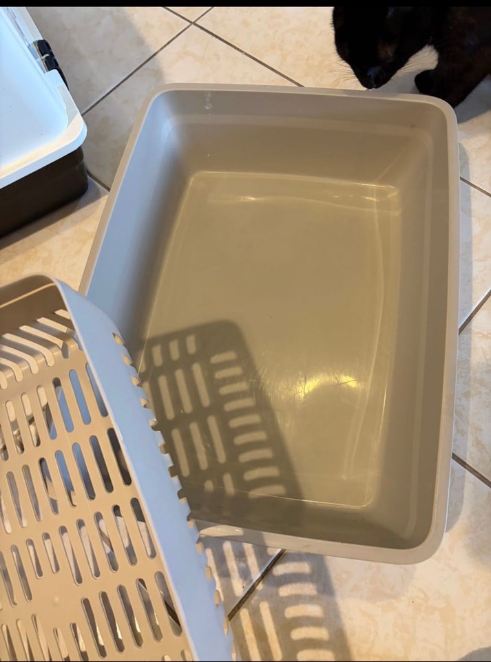 XXL Koku Emici Karbon Filtreli Tuvalet - Görsel 3