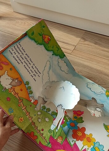  Beden Renk Hareketli sayfali karton kitap 