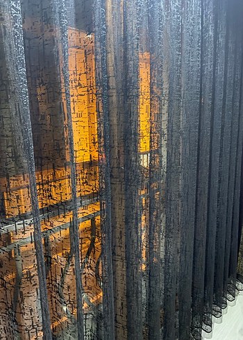 Siyah tül perde ve gold fon perde - Görsel 3