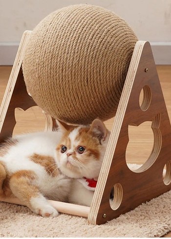 Büyük Boy Kahverengi Kedi Oyun Topu - Görsel 3