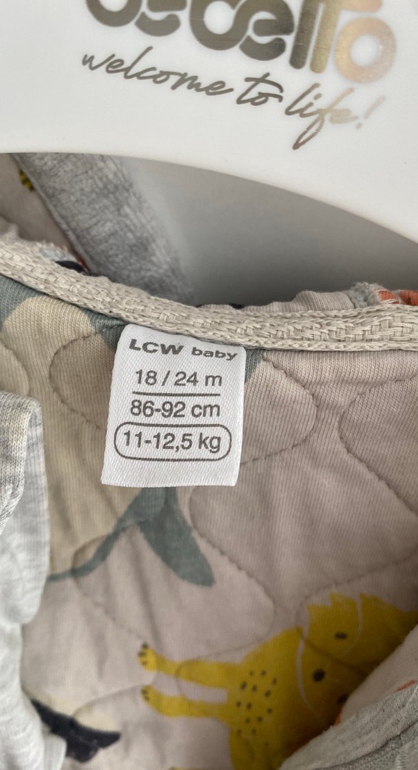 Gri Kapüşonlu Erkek Çocuk Mont - Görsel 3