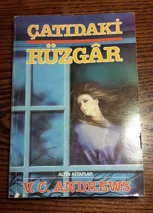 çatıdaki rüzgar kitap