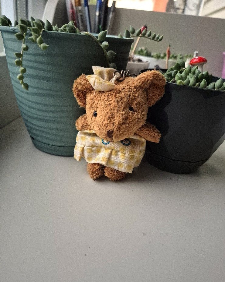 peluş Ayıcık Anahtarlık - Görsel 2