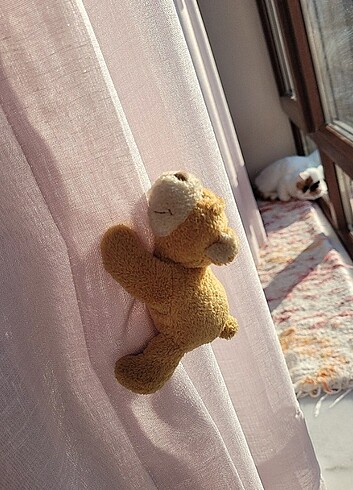 Beden Renk nici magnet ayı
