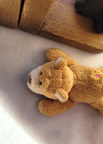 nici magnet ayı  - Görsel 5