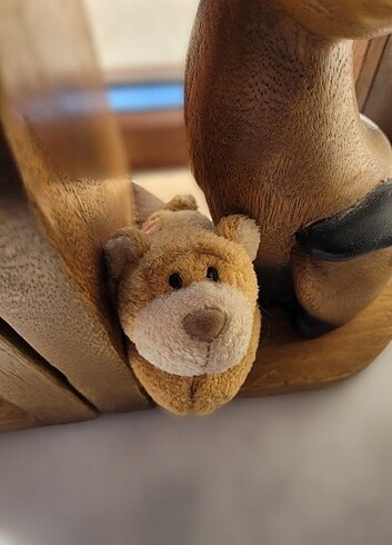 nici magnet ayı  - Görsel 6