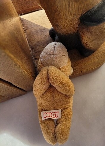 nici magnet ayı  - Görsel 7