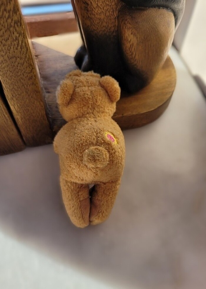 nici magnet ayı  - Görsel 3