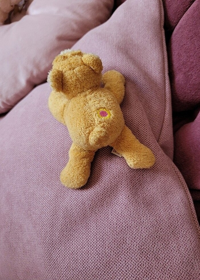 nici magnet ayı  - Görsel 2