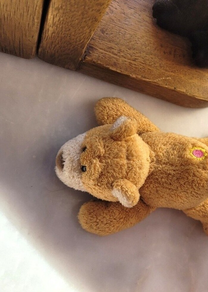 nici magnet ayı  - Görsel 5