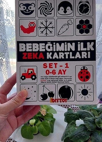 Kitap 