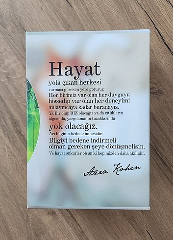 Beden Fi çi pi