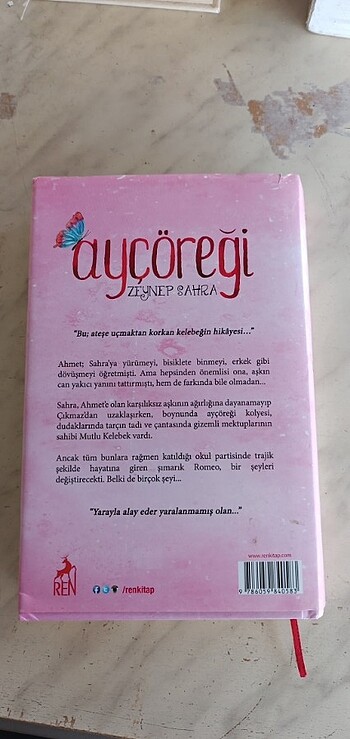  Ayçöreği