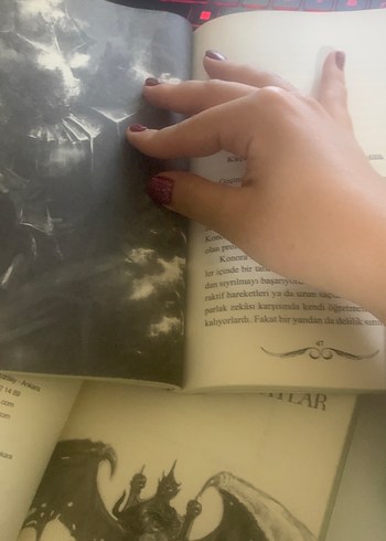 Dominis Efsanesi 2 Kitap Seti - Görsel 4