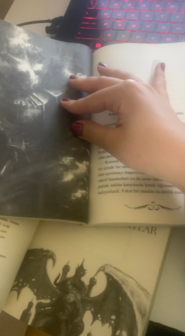 Dominis Efsanesi 2 Kitap Seti - Görsel 4