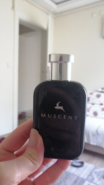 Muscent baccarat rouge 540 parfüm