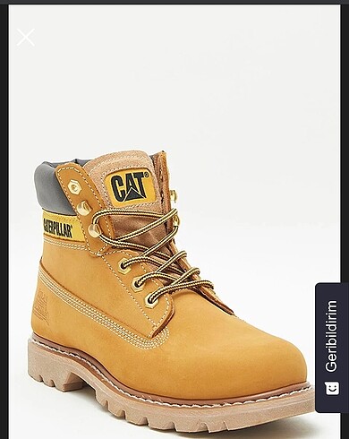 Cat bot