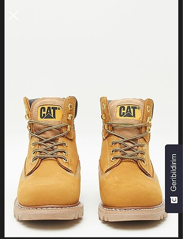 38 Beden Cat bot