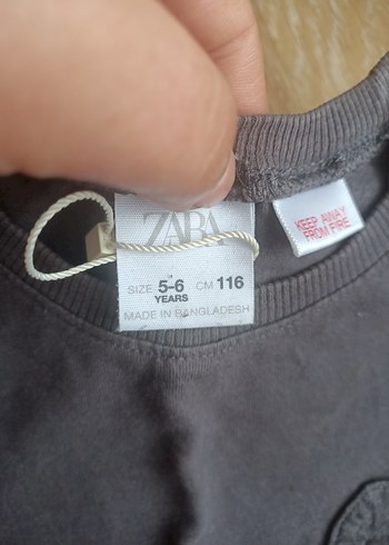 Zara tişört - Görsel 3