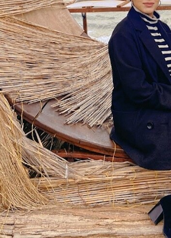 Siyah kaban - Görsel 2