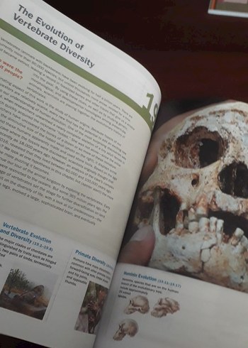 Campbell Biology Concepts & Connections Kitap - Görsel 7