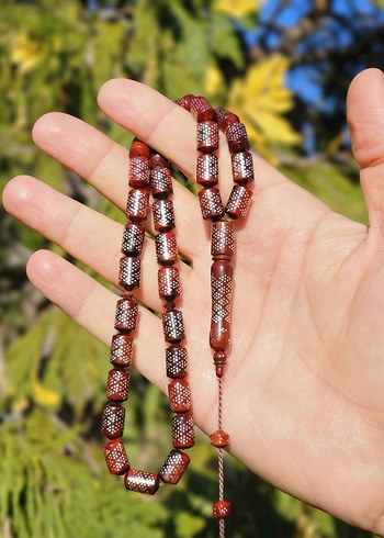 GIRTLAK DOLUSU GÜMÜŞ ÇAKIM KUKA - Görsel 5