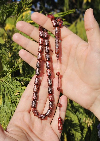 GIRTLAK DOLUSU GÜMÜŞ ÇAKIM KUKA - Görsel 2