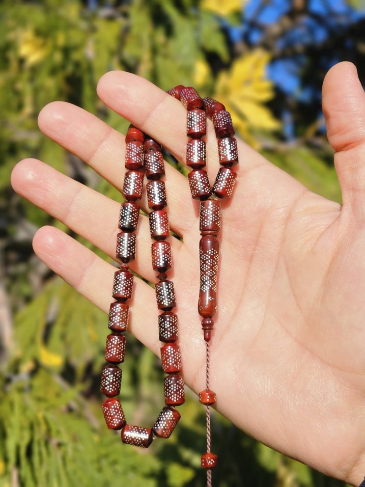 GIRTLAK DOLUSU GÜMÜŞ ÇAKIM KUKA - Görsel 5