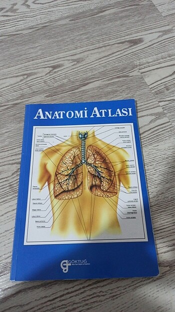 Anatomi Atlası Hemşirelik Ebelik 