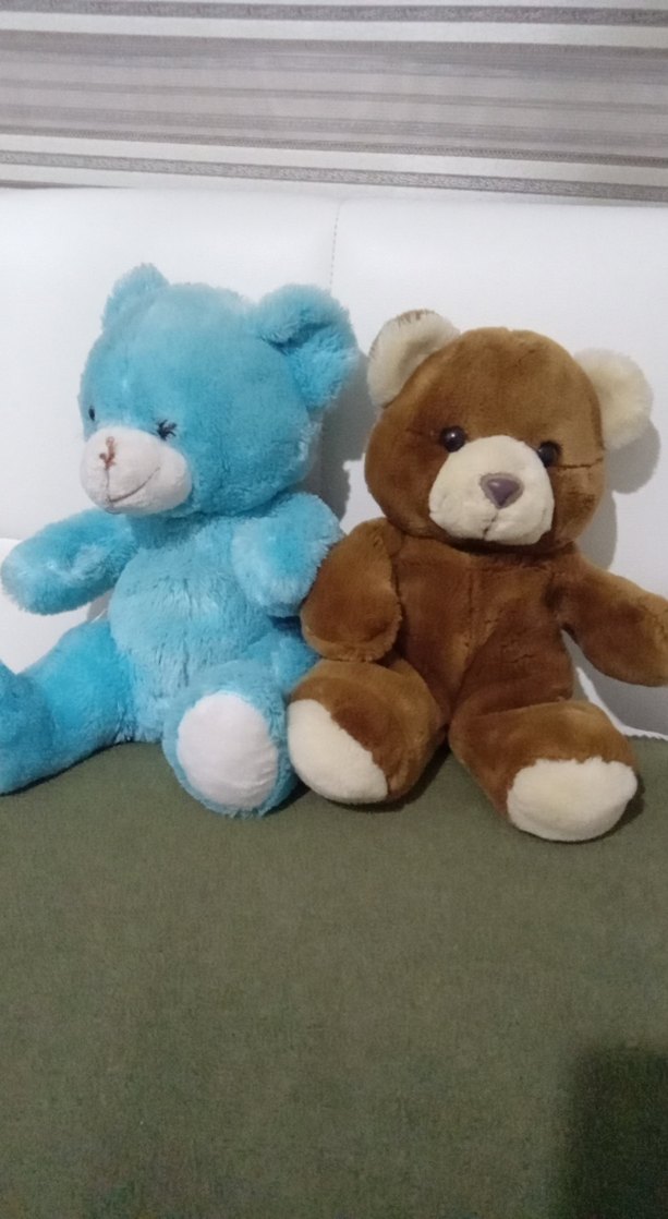 Mavi ve Kahverengi Peluş Ayıcıklar - Görsel 2