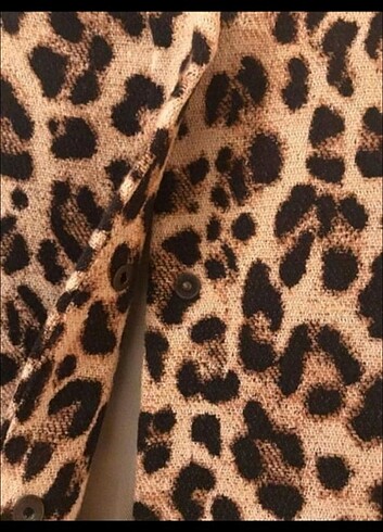 Zara Leopar zara kaban