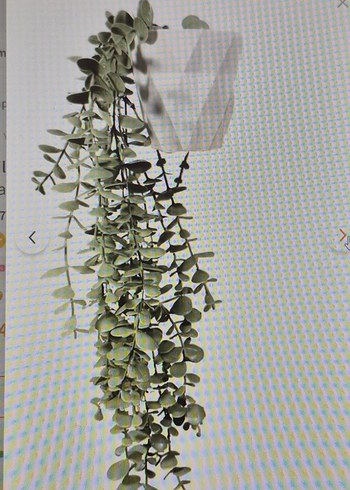 Yeşil Gri Asma Dekoratif Bitki okaliptus - Görsel 2