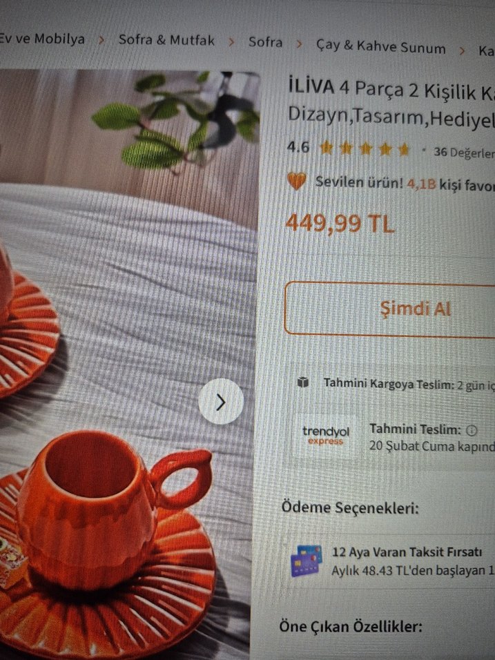 Turuncu Seramik Fincan ve Tabak Seti 2 adet - Görsel 3