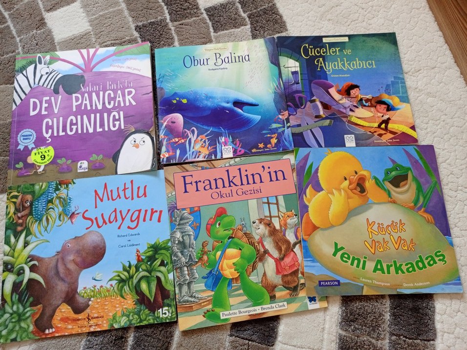Çocuklar için çeşitli resimli kitaplar - Görsel 3