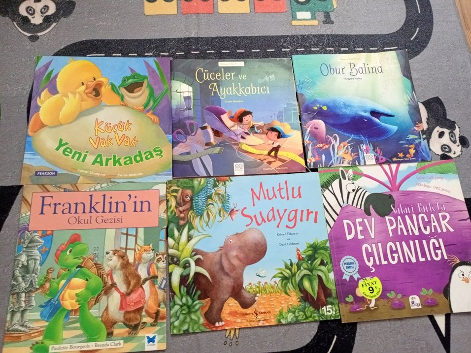 Çocuklar için çeşitli resimli kitaplar - Görsel 5