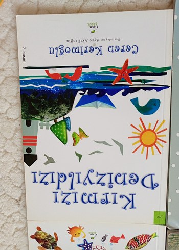 Ceren Kerimoğlu Çocuk Kitapları Seti - Görsel 4