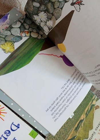 Ceren Kerimoğlu Çocuk Kitapları Seti - Görsel 9