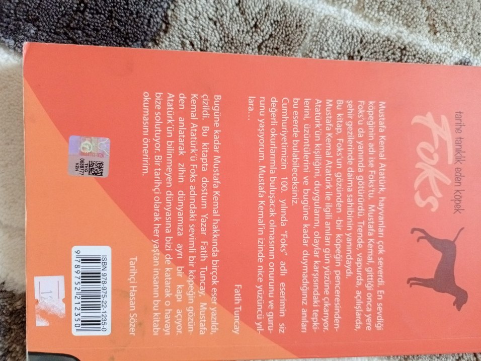 foks yenı - Görsel 2