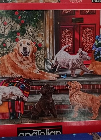  Beden Puzzle 