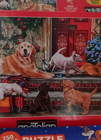  Beden Renk Puzzle 