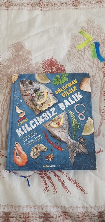 Kılçıksız Balık
