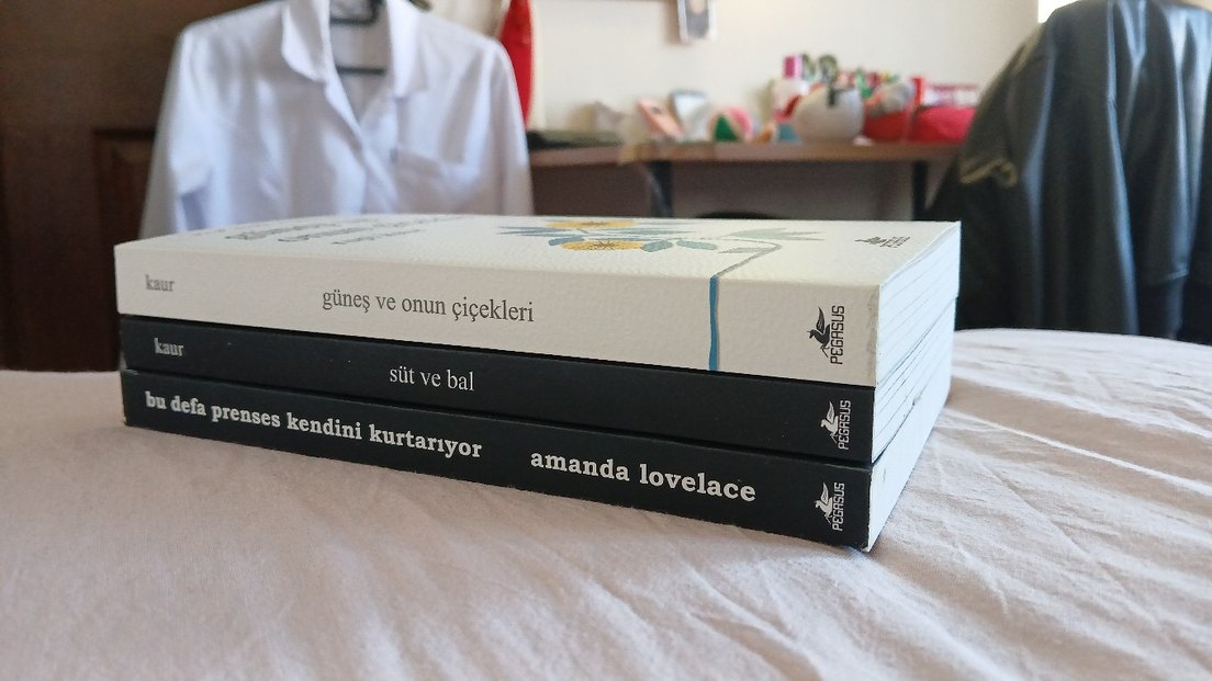 kitap-şiir kitabı-3 kitap set - Görsel 2