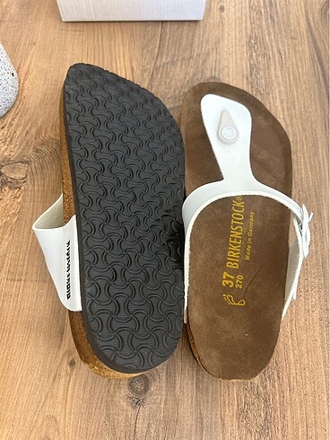 37 Beden Birken terlik