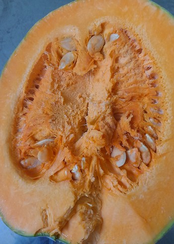 Kabak tohumu - Görsel 2