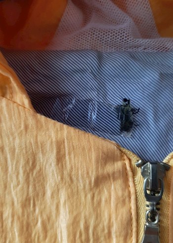 Kadın Sarı Kapüşonlu  ruzgarlik - Görsel 3