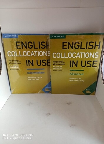 English Collocations in Use intermediate Advanced 