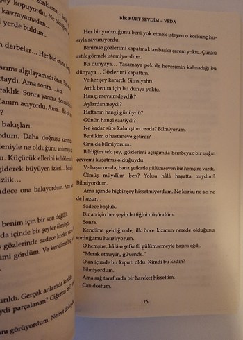 Bir Kürt Sevdim - Veda Romanı