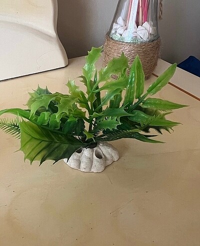 Beden Renk Akvaryum Dekorasyon