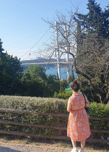 Kolsuz elbise - Görsel 2