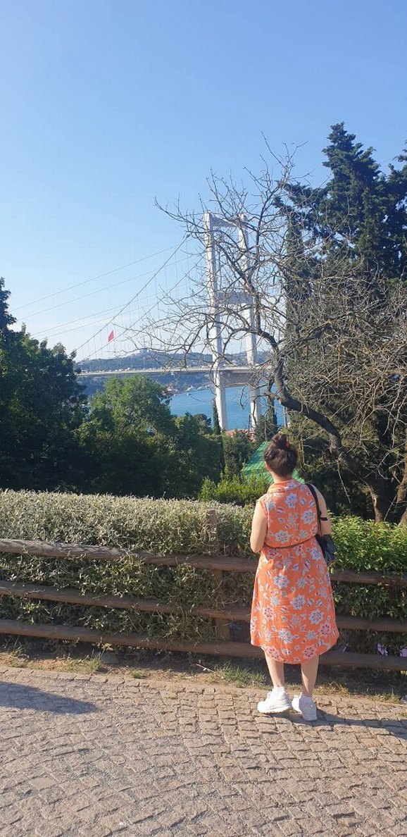 Kolsuz elbise - Görsel 2